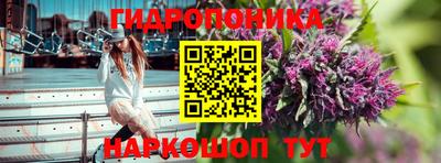 гашик Кинель