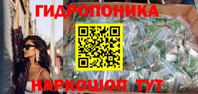 гашик Кинель