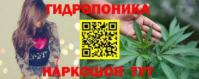 гашик Кинель
