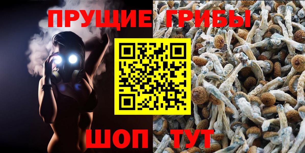 Кострома  Галлюциногенные грибы MAGIC MUSHROOMS  Вход с VPN 